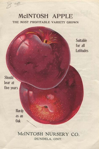 The Secret History of the McIntosh Apple – Lecture by Marion Kane ...